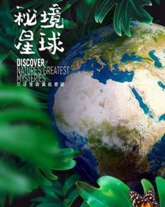 迷路的老奶奶