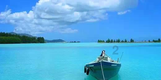 精灵的冒险之旅