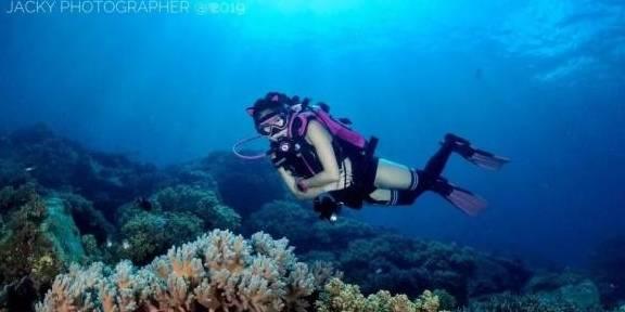 赵丽颖红妆写真港风十足 慵懒惬意双眸明亮如月
