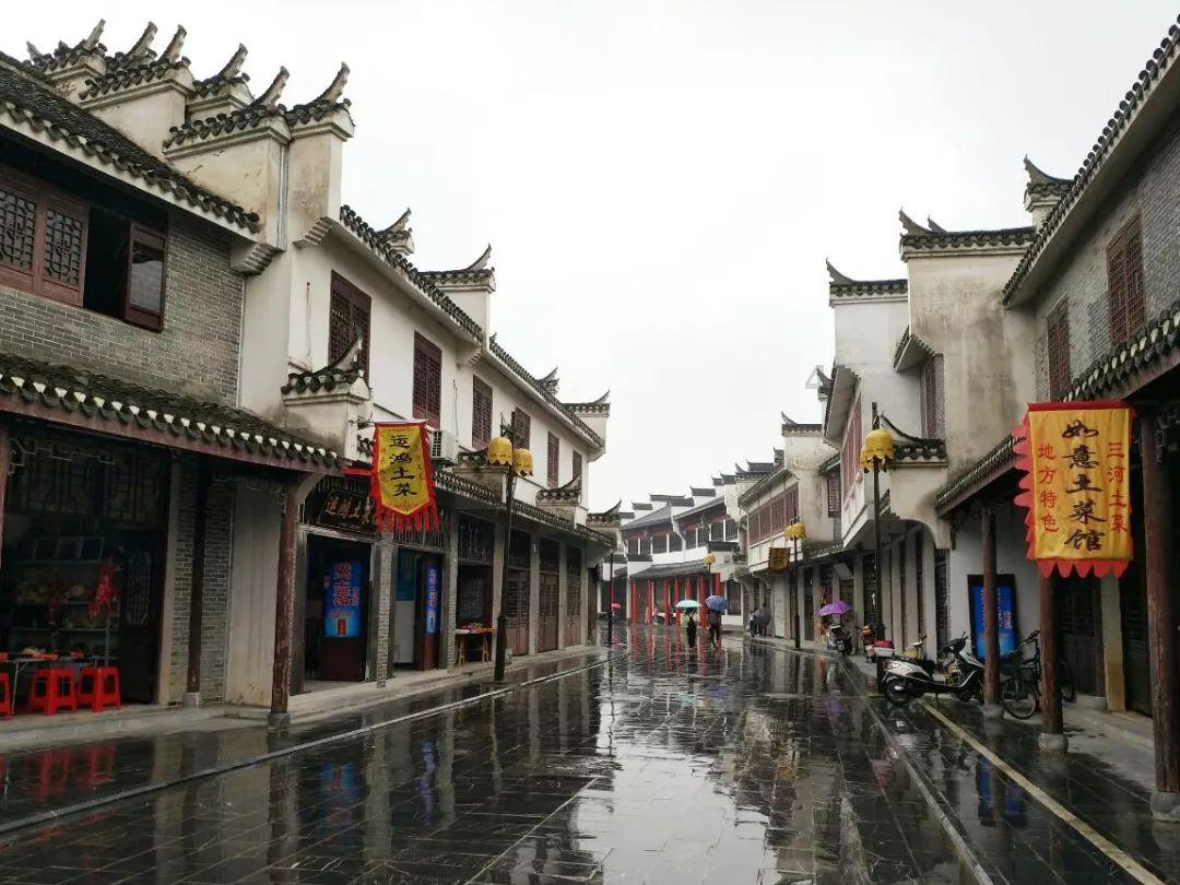 动物帮帮忙保卫家园